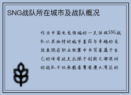 SNG战队所在城市及战队概况
