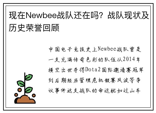 现在Newbee战队还在吗？战队现状及历史荣誉回顾